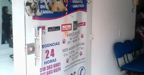 CLINICA VETERINARIA PINK DOG CALLE 12C 71C 31 CLINICA VETERINARIA PINK DOG CALLE 12C 71C 31